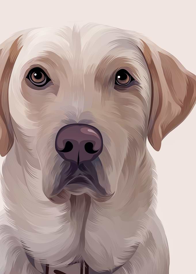Dog 3
