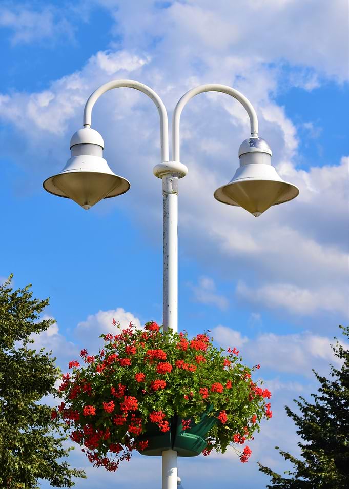 Unique Street lamp