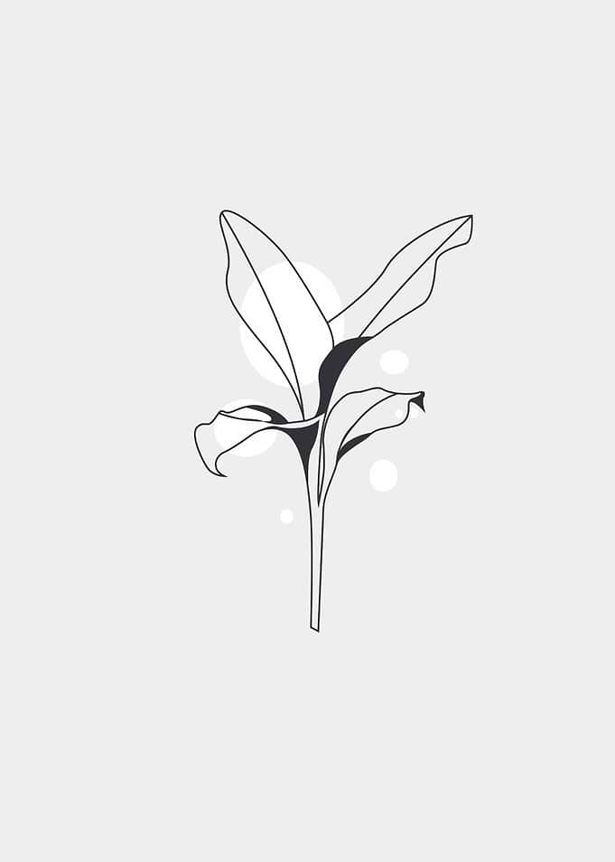 leaf floral wall art