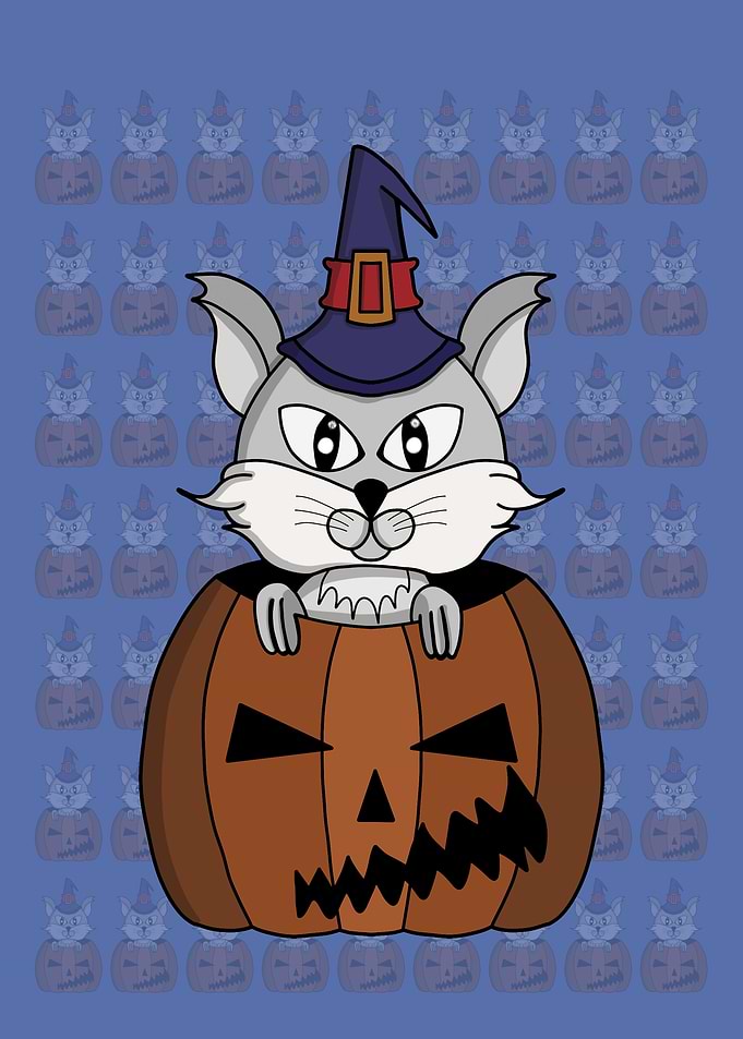 Pumpkin Witch Cat