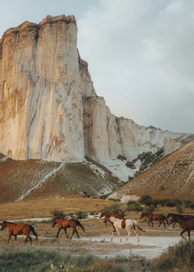 horse river