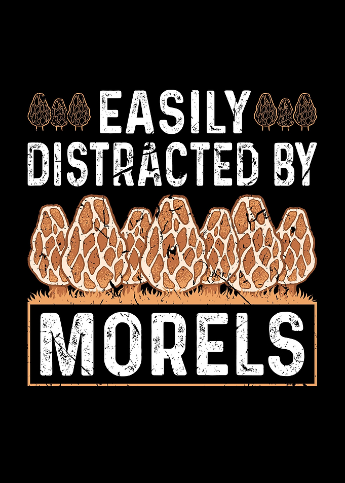 Distracted By Morels Gift