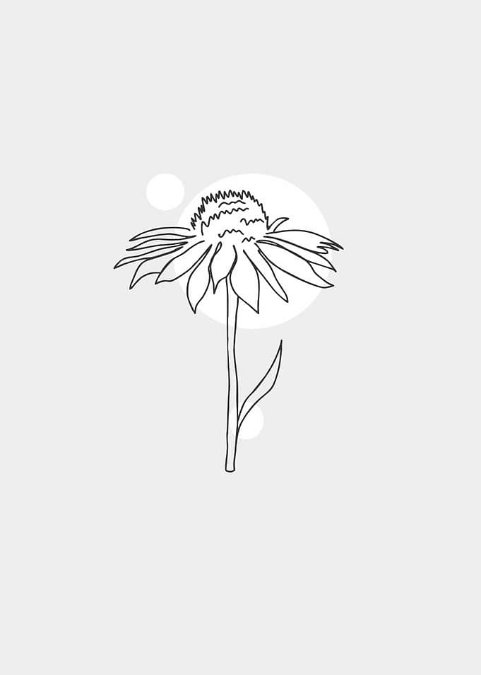 floral black line