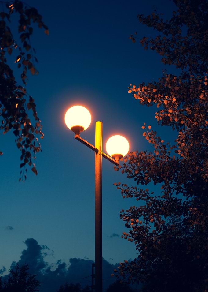 Lamps between the trees