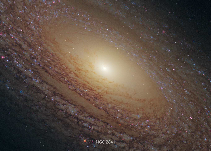 NGC 2841