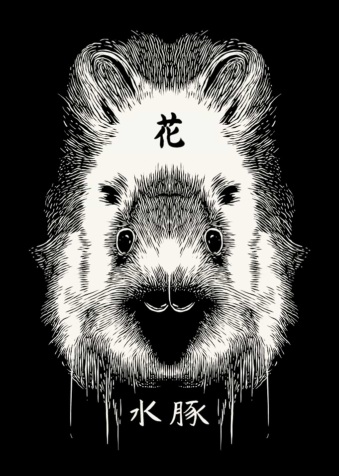 Capybara Masbro