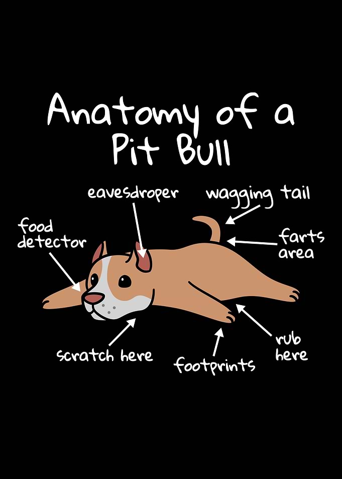 Anatomy Of A Pit Bull