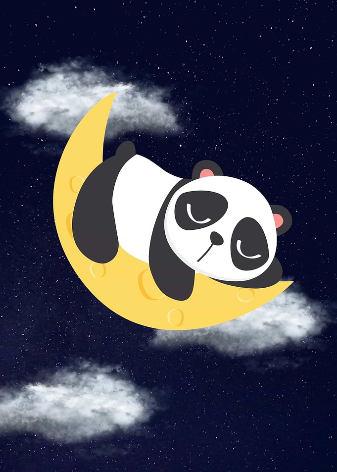 cute panda