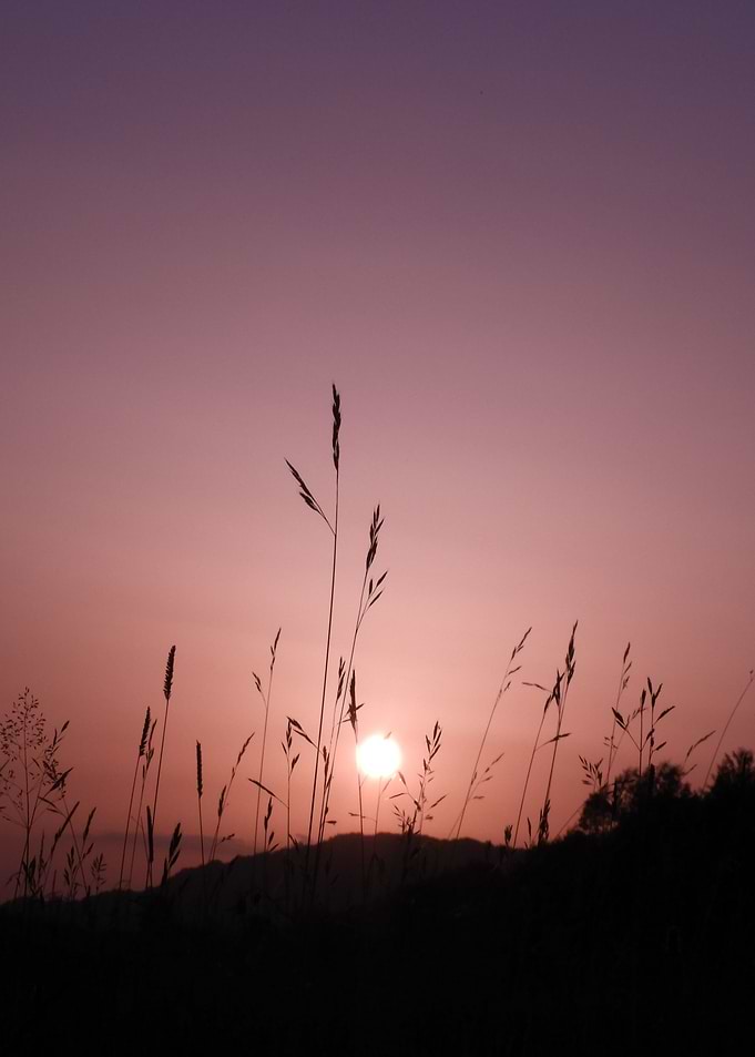 Summer Sunset