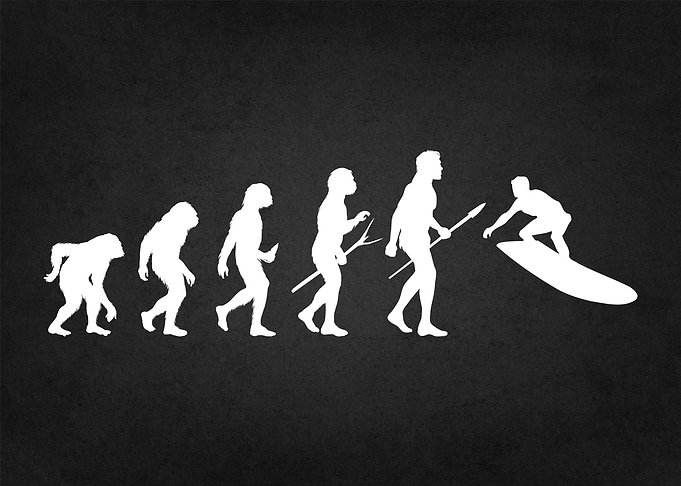 surfing evolution