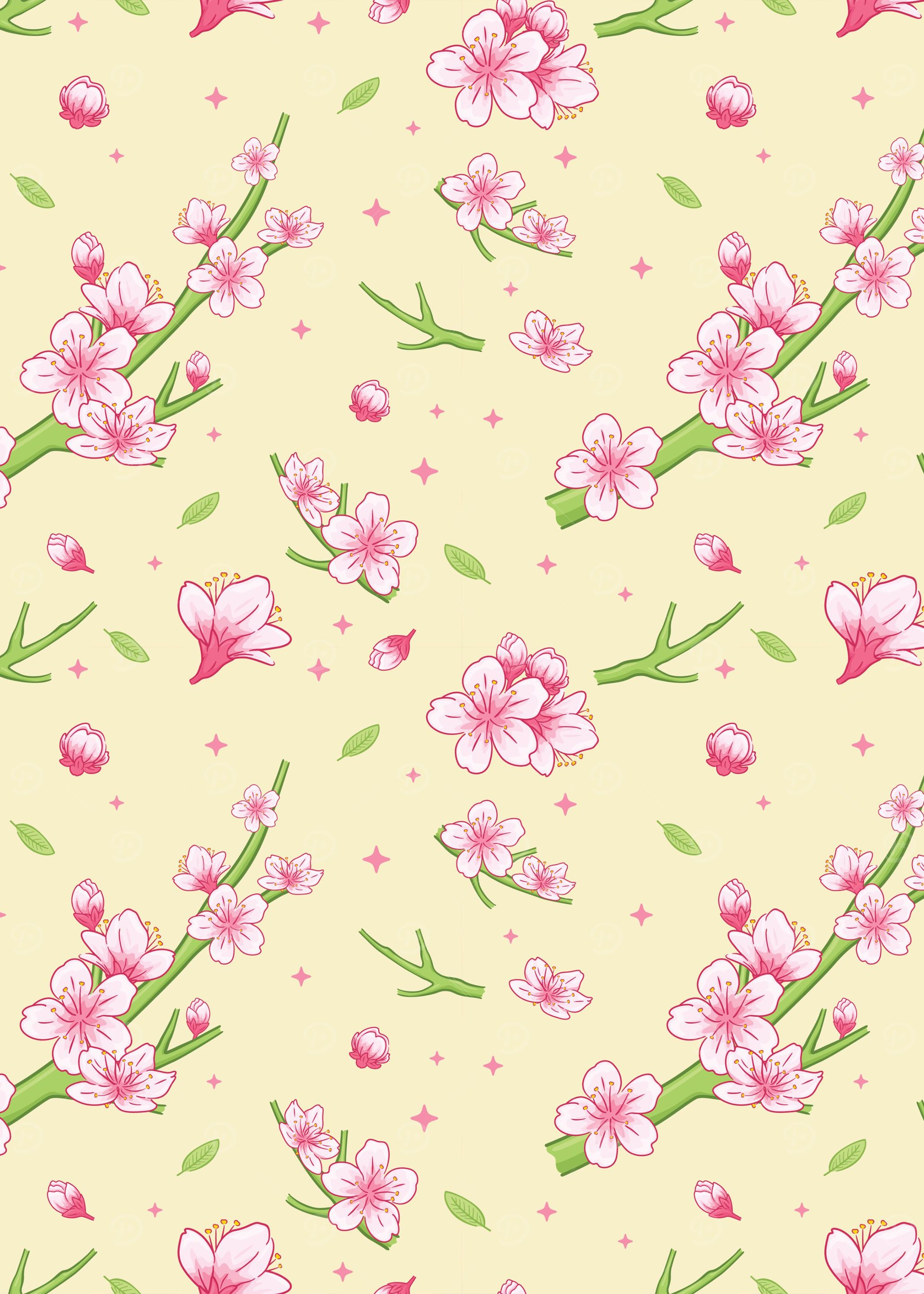 Cherry Blossom Flower 24
