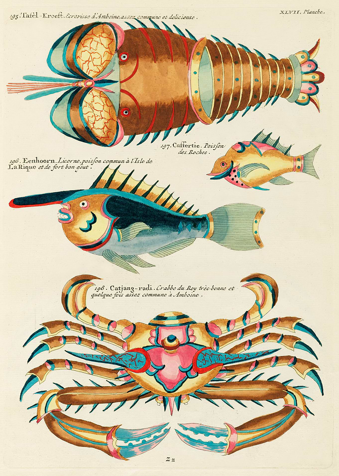 fishes lobster and crab