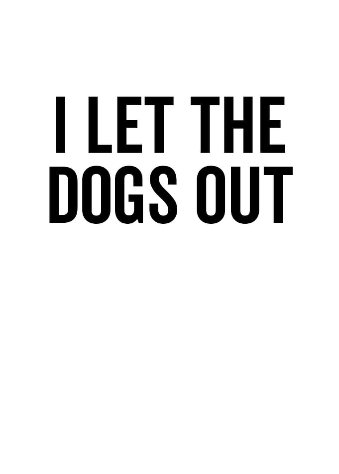 I Let The Dogs Out