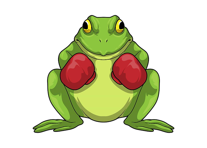 Frog Boxer Boxing gloves