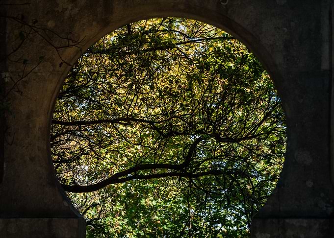 Entrada