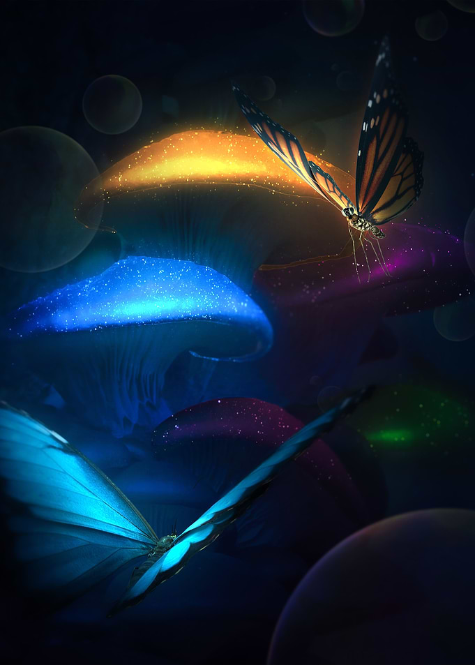 Mushroom Butterfly