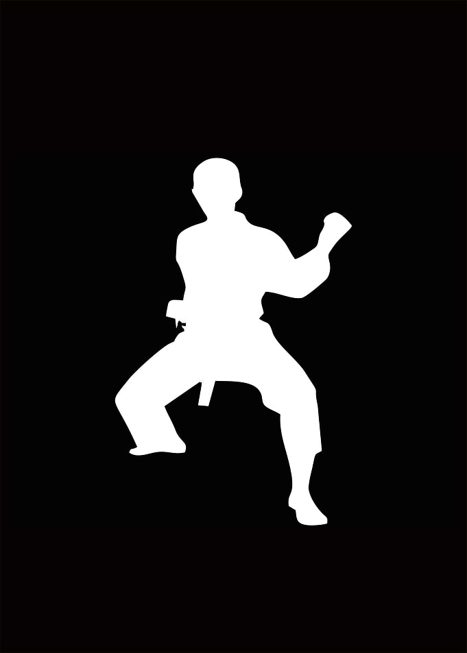 Martial Arts