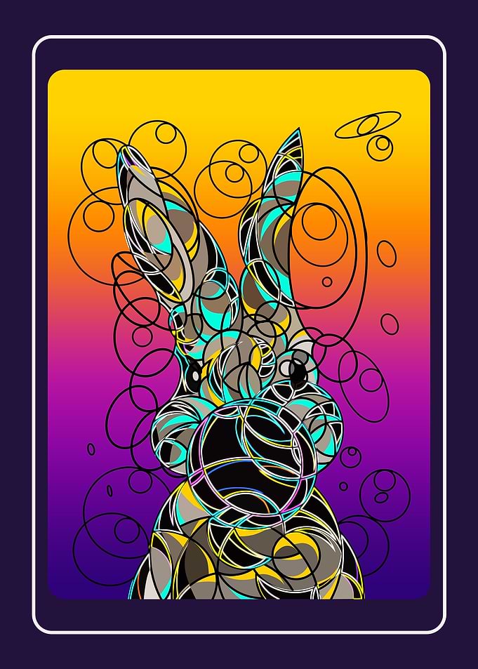 Rabbit illustrations