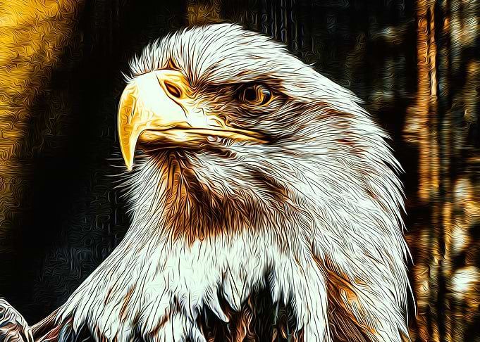 Eagle