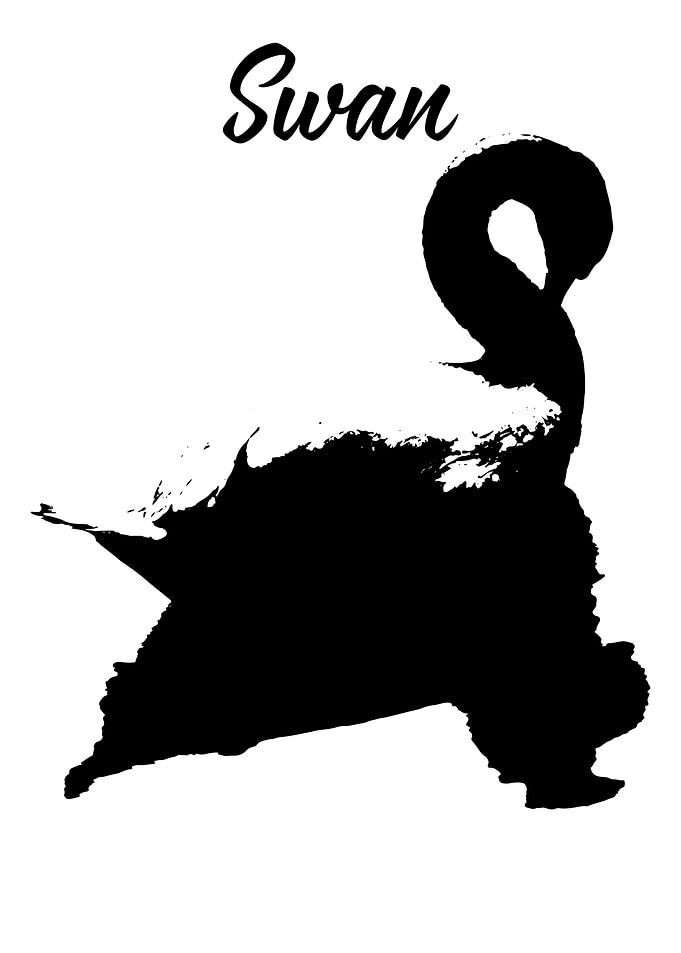 Swan