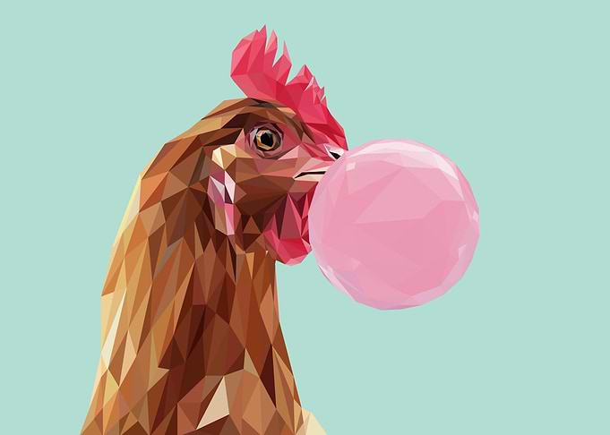 bubble gum animal chicken