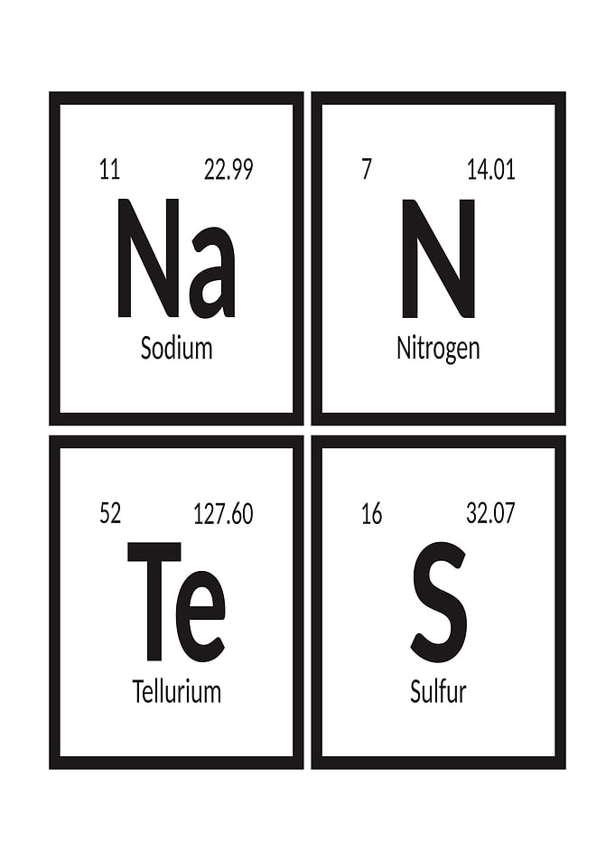 Elements of Nantes City