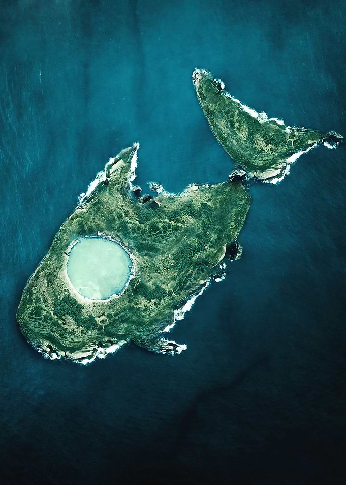 Fish Island