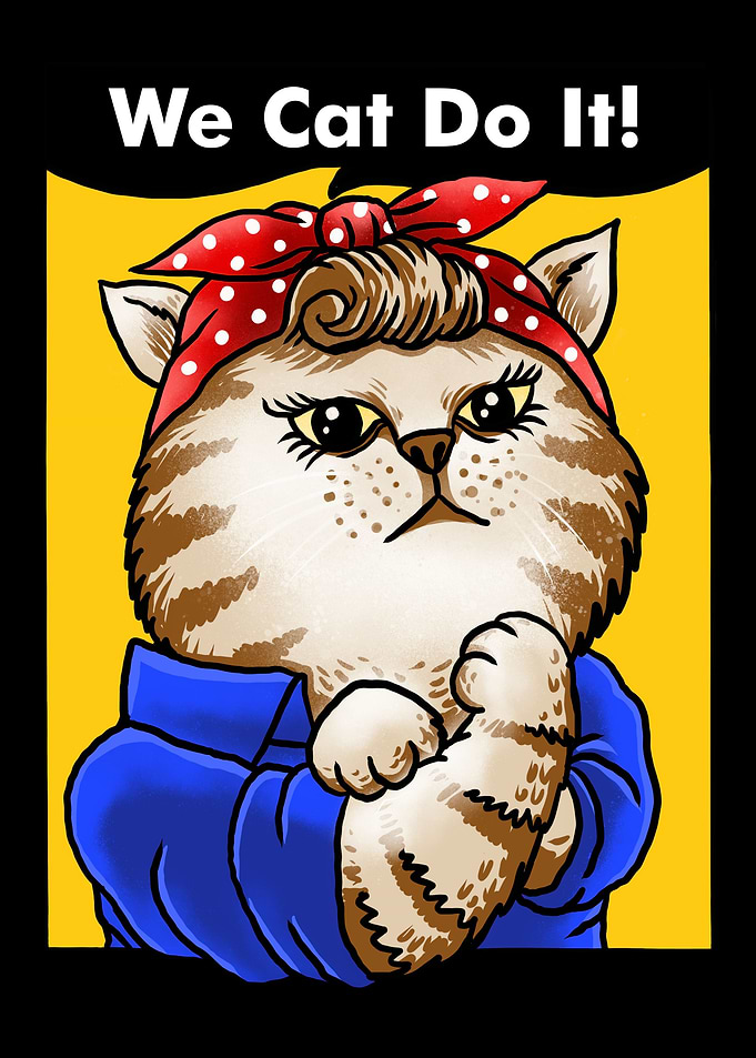 we cat do it