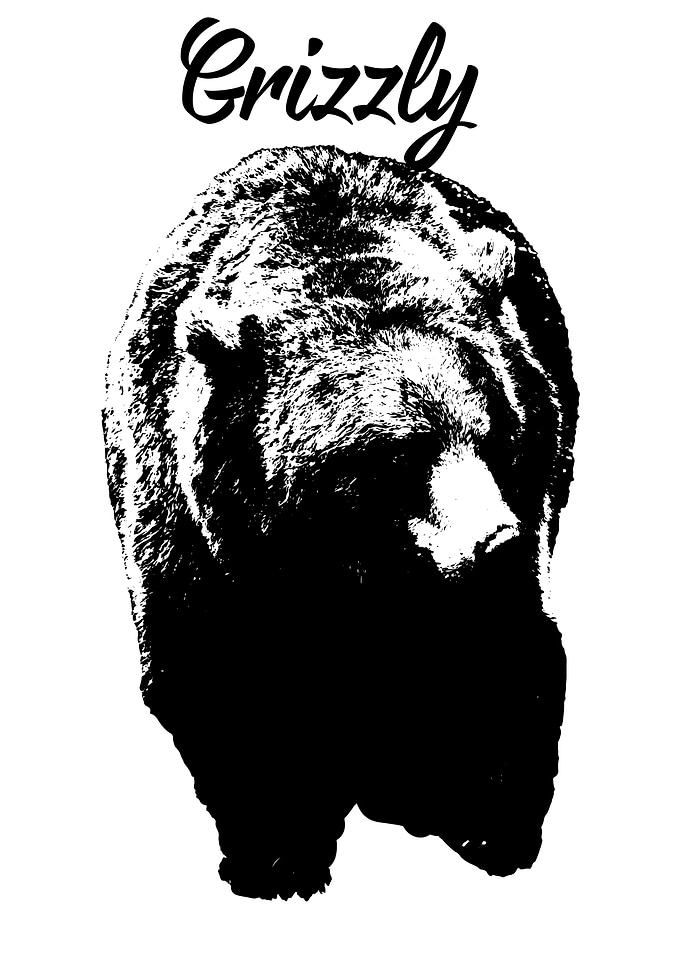 Grizzly