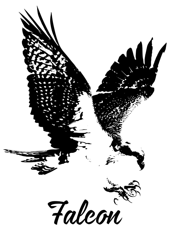 Falcon