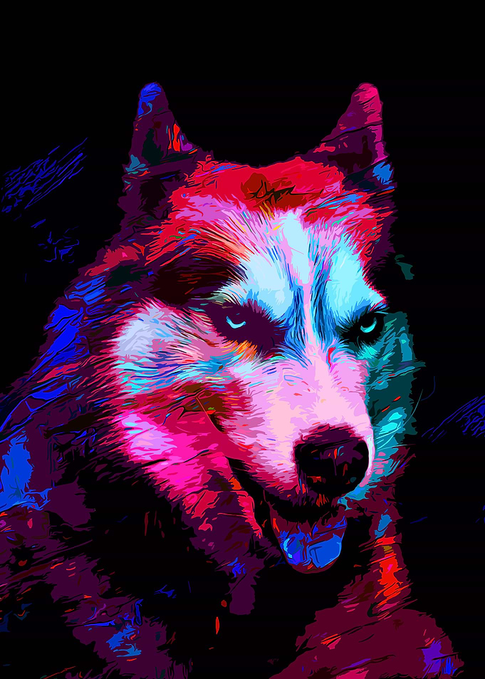 colorful animal
