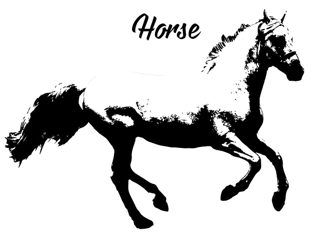 Horse