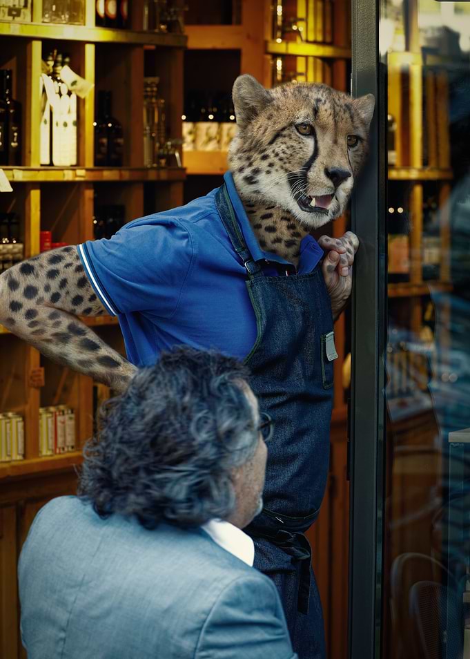 The Merchant