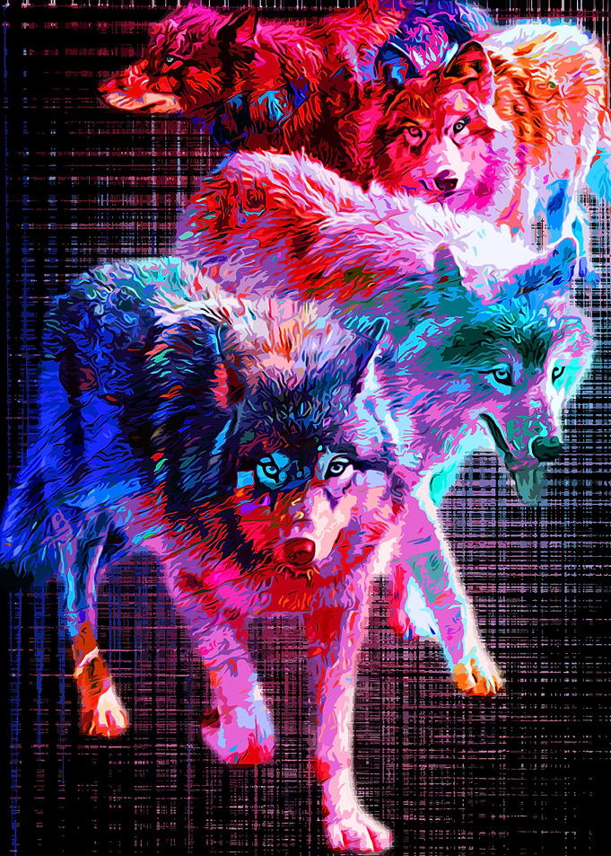 colorful animal