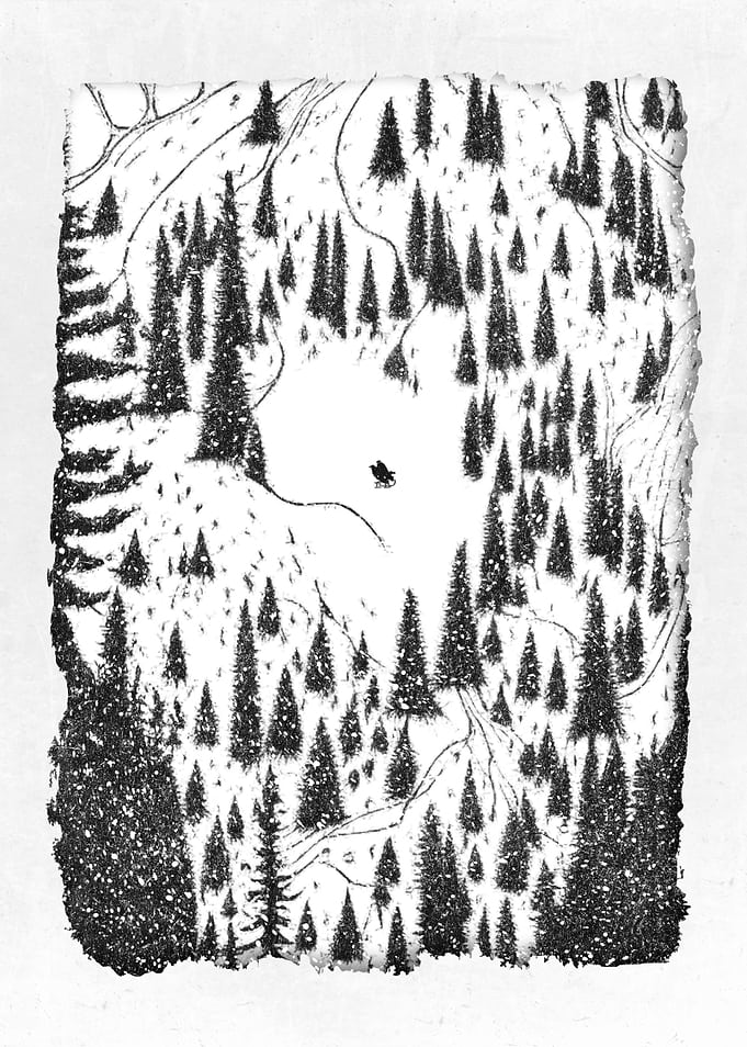 Snowboard and Freeride