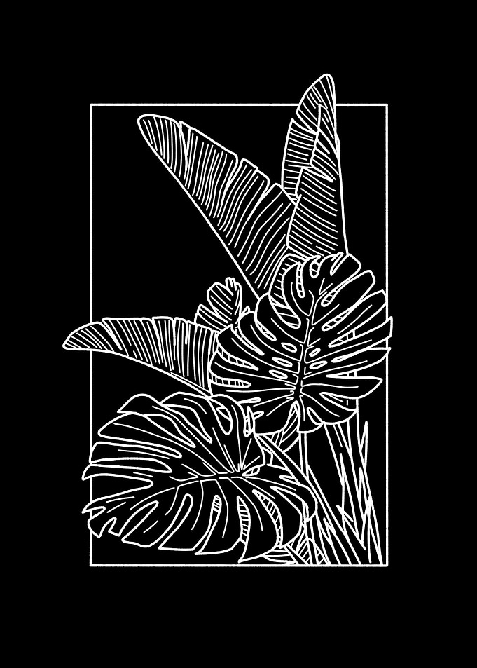 Floral line black white