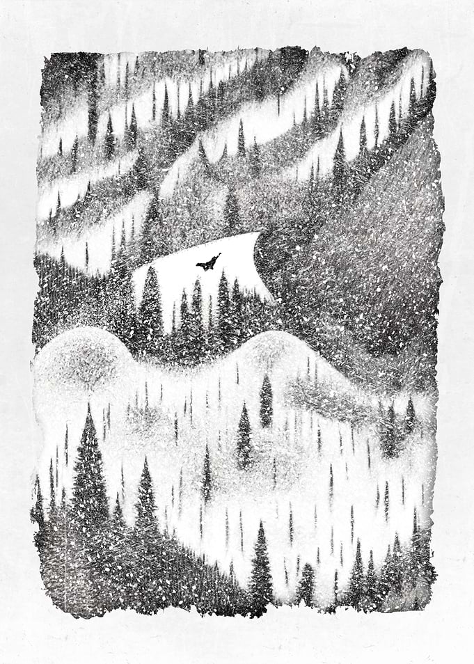 Snowboard and Freeride