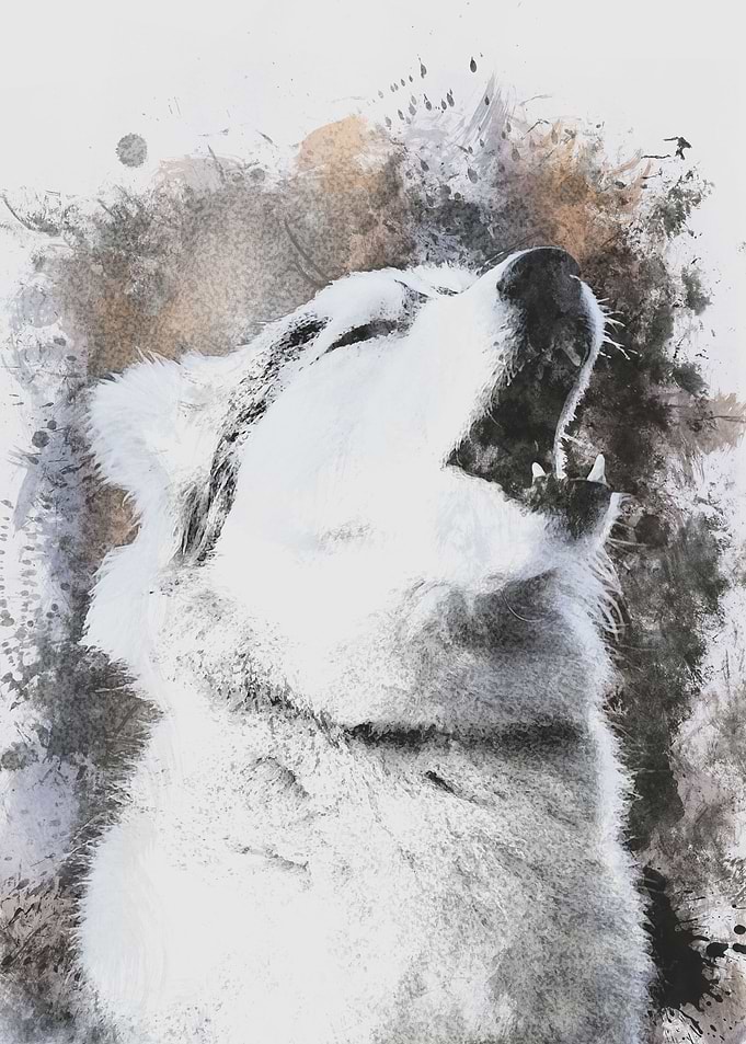 Wolf Calling Friend