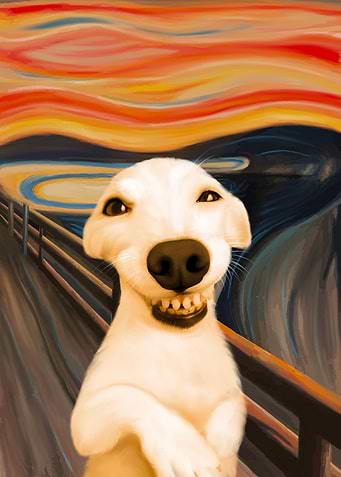 the dog funny