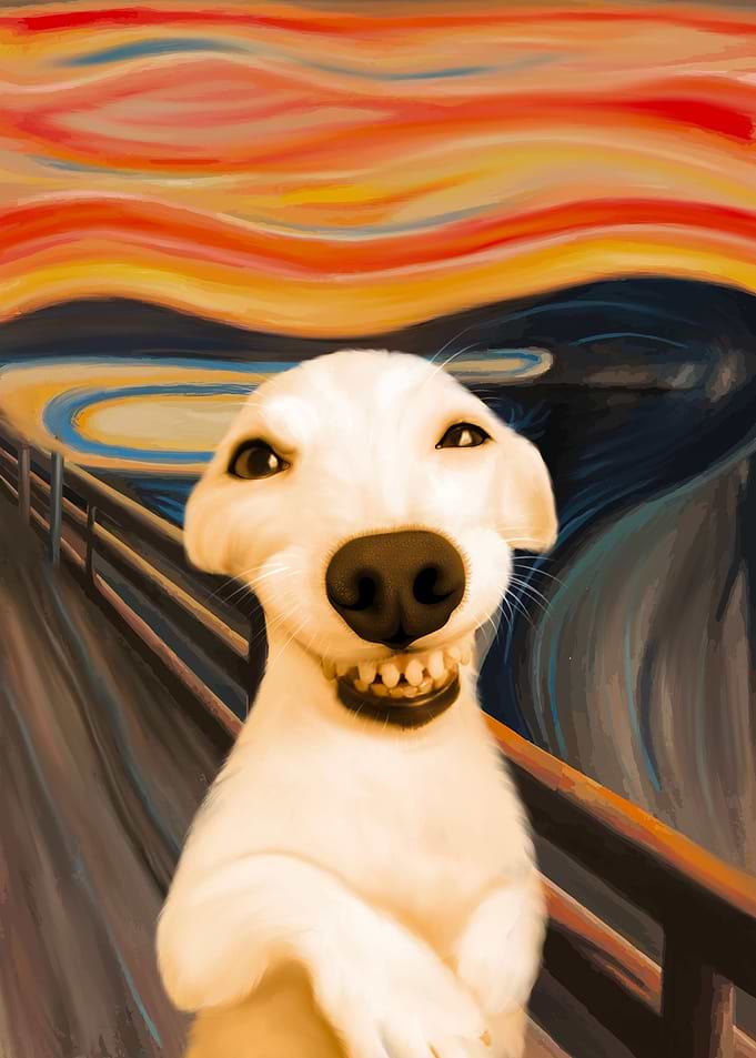 the dog funny