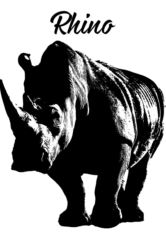 Rhino