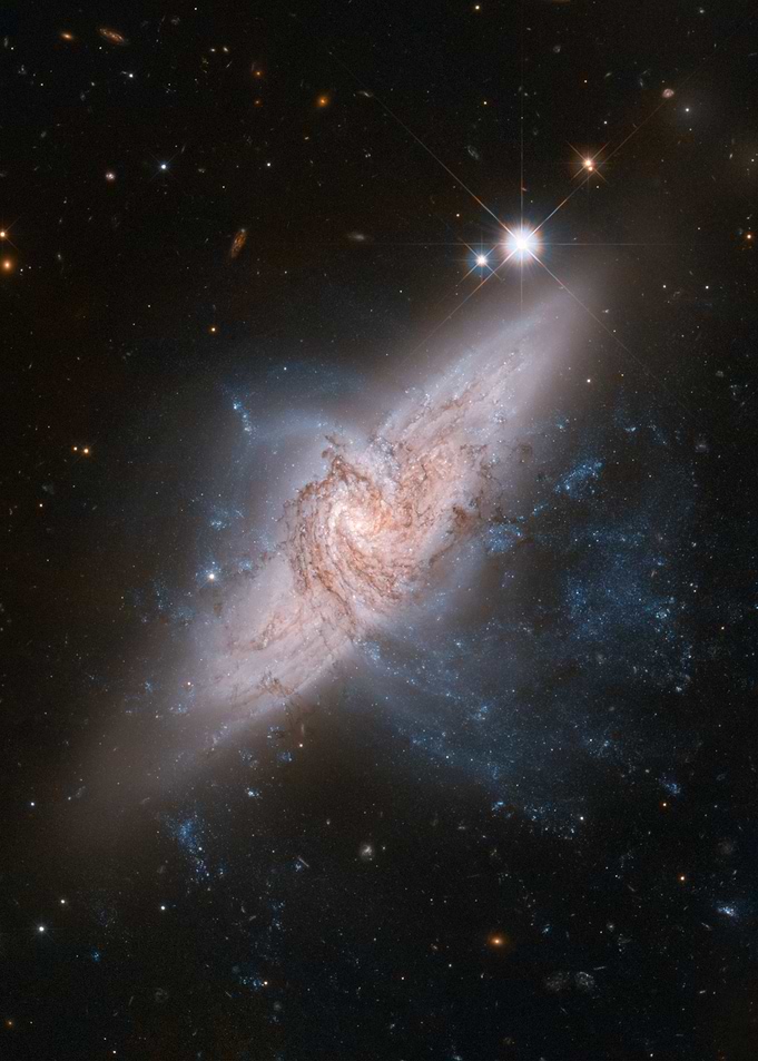 Butterfly Nebula
