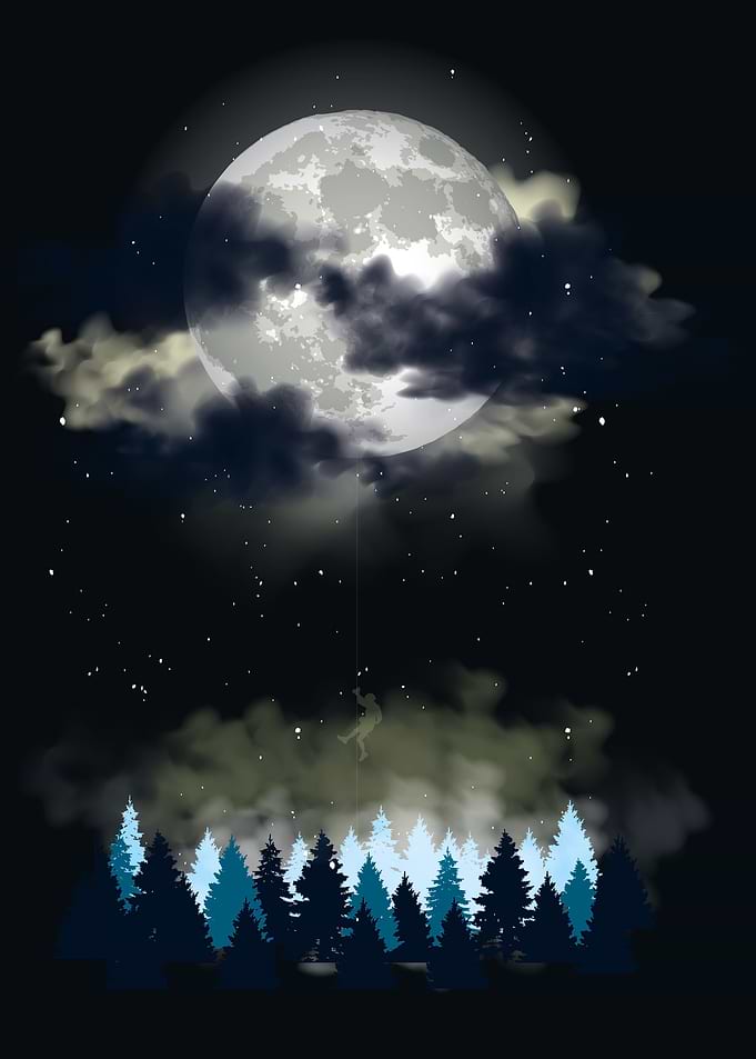 Forest by the Moon light