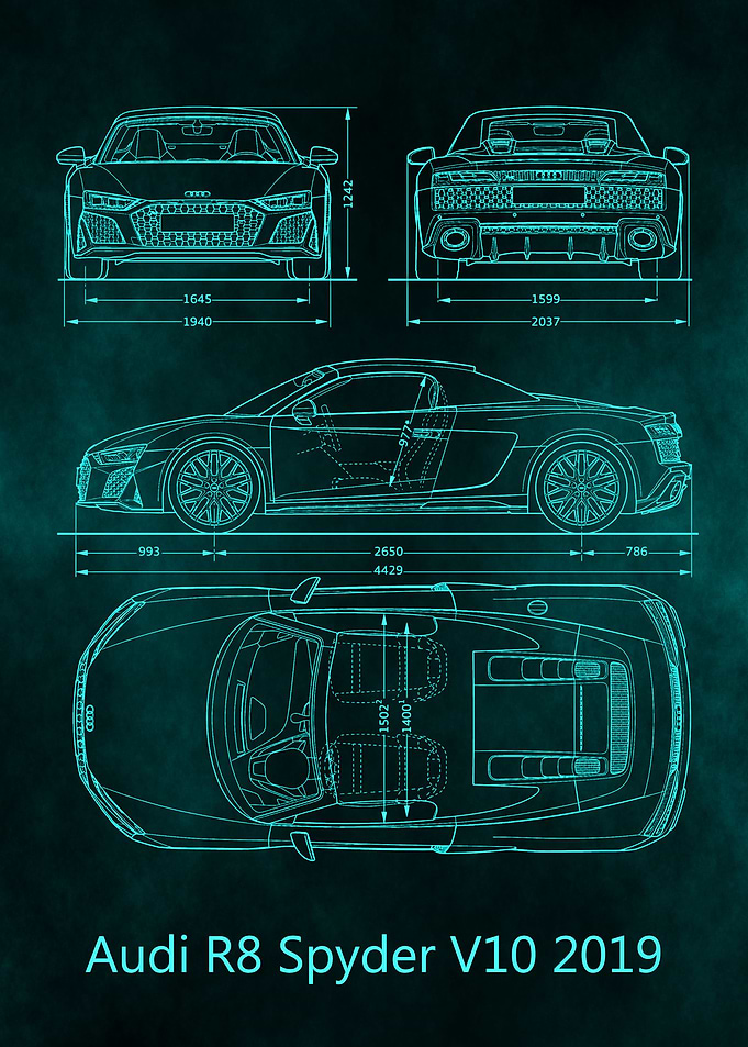 Audi R8 Spyder V10 2019