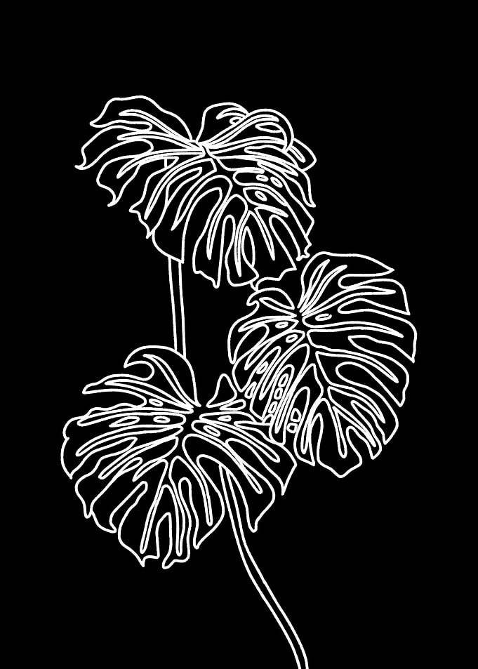 Floral line black white