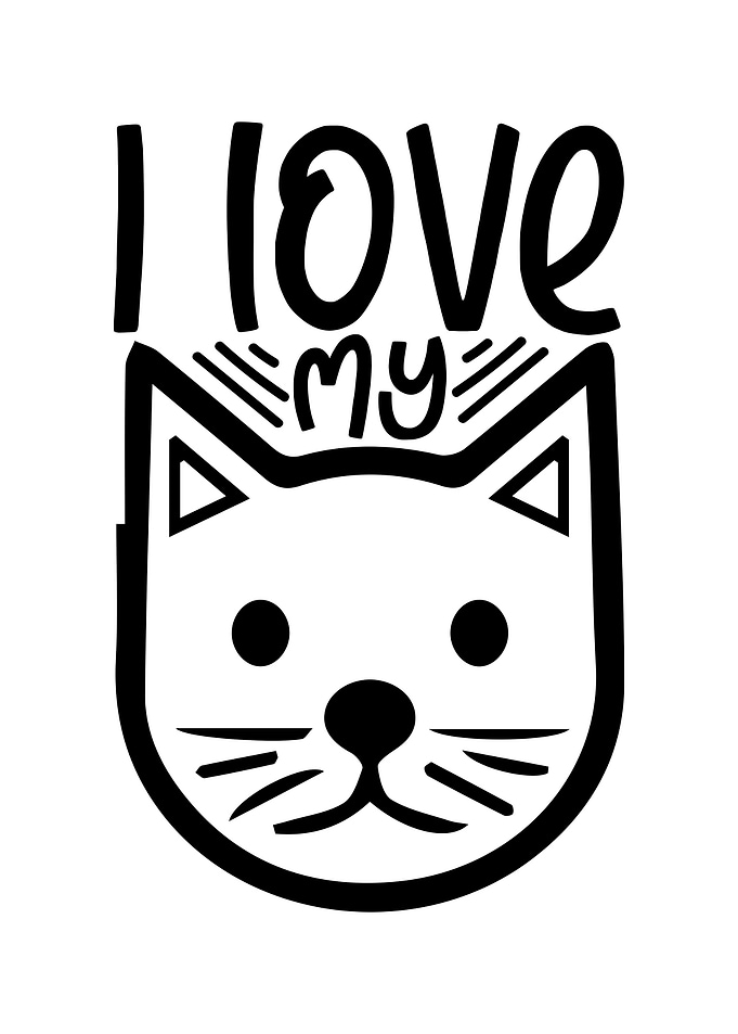 Quotes Cat