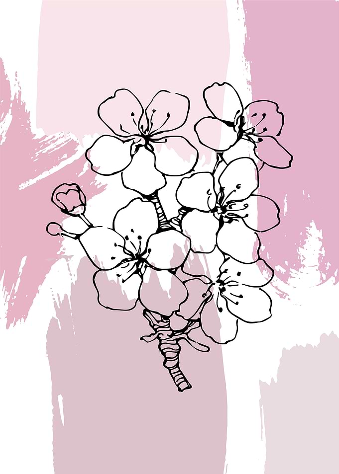 Modern Sakura flower