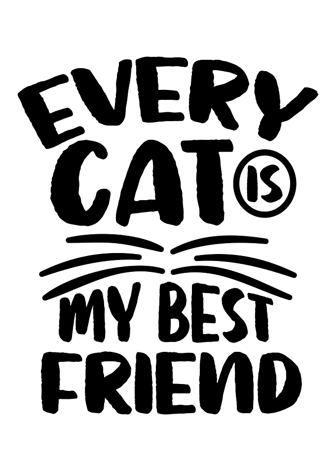 Quotes Cat