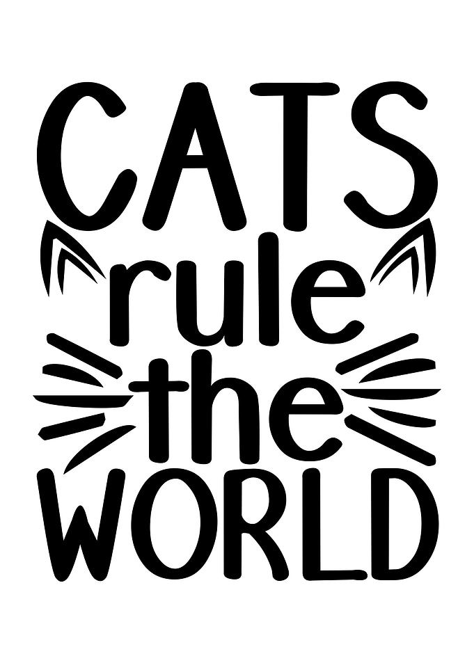 Quotes Cat