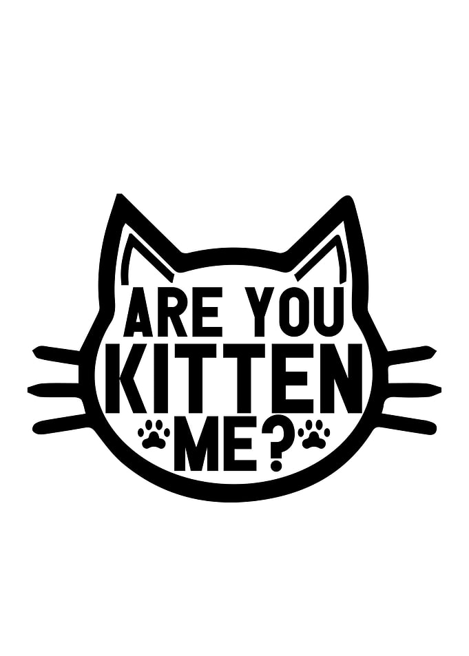 Quotes Cat